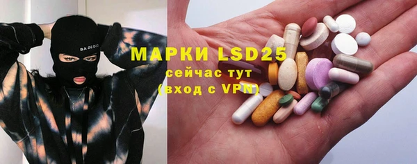 шишки Беломорск