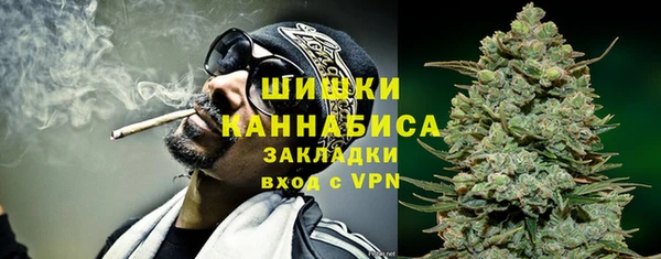 шишки Беломорск