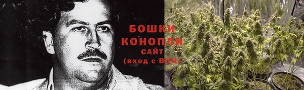 шишки Беломорск