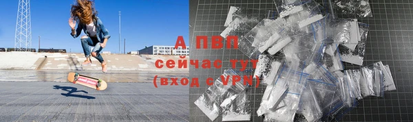 шишки Беломорск